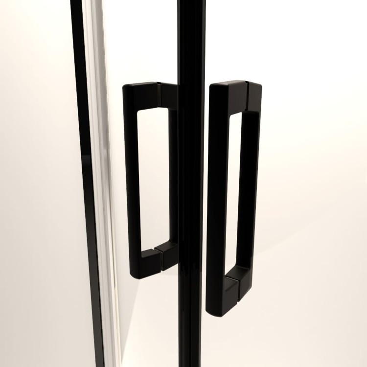 Radaway-Premium-Pro-Black-detal-uchwyt.jpg