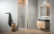 Radaway-Nes-Brushed-Gold-DWJ-prawa-twojakabina.pl.jpg