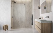Radaway-Essenza-Pro-Brushed-GunMetal-Walk-in.jpg