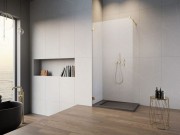 Radaway-Essenza-Pro-Gold-WalkIn-2.jpg